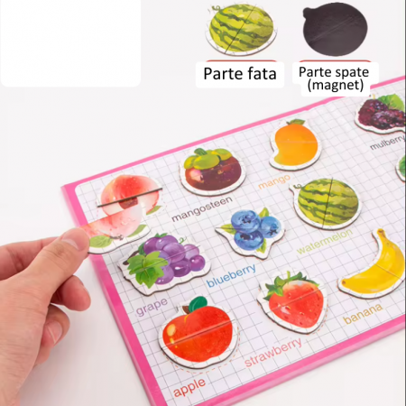 Carte magnetica cu 27 Fructe, Puzzle din 2 piese, 18x18 cm, 3 ani +