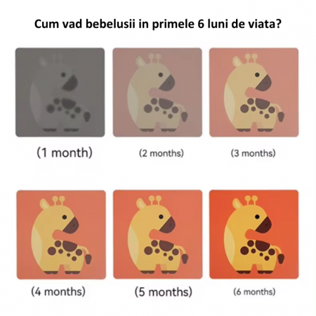 Set 20 Carduri stimulare vizuala Bebelusi, 12-36 luni